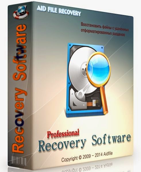 Aidfile Recovery Software Professional Edition