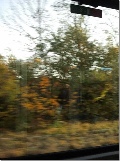 From the train