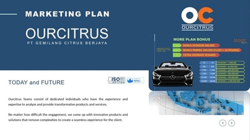 marketing plan ourcitrus