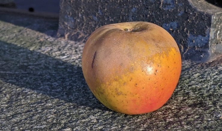 An orange-blushed apple with a partial layer of russet on a stone slab