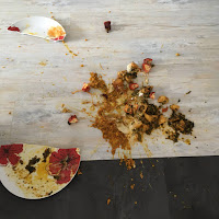 curry splattered on the floor with a broken white and red dinner plate.