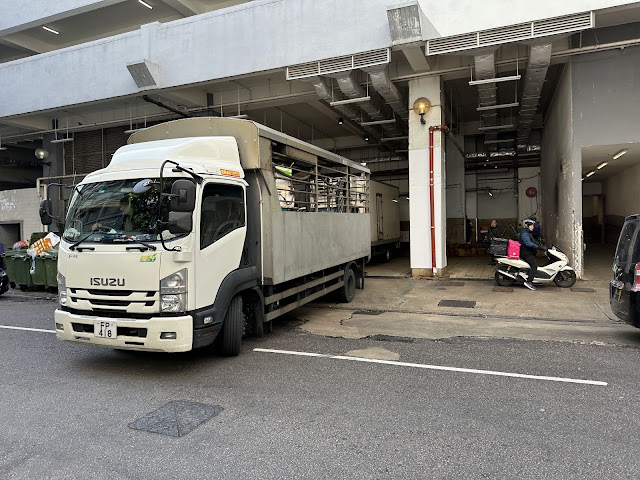 Isuzu Aquatic Products Delivery Truck @Hanghau, TKO  ( Dec 2023) #五十鈴 # いすゞ自動車 #いすずじどうしゃ #意蘇蘇 #水產運輸車 #HK #香港 #將軍澳 #坑口 #TseungKwanO #西貢 #Sai Kung
