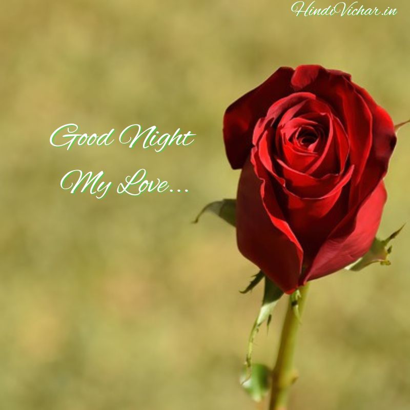 Lovely Good Night My love Images