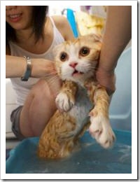 1bath1
