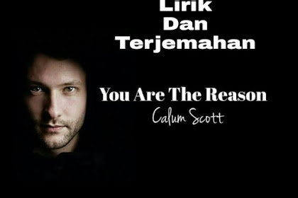 Lirik Lagu dan Terjemahan Calum Scott You Are The Reason