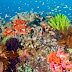 Teluk Triton, Kaimana
