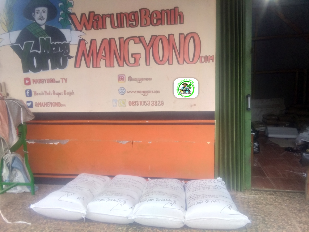 Pesanan BU YUNI Pemalang, Jateng. (Setelah packing)