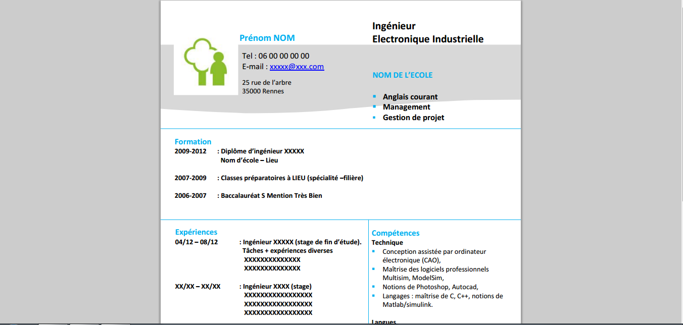 Exemple de CV 2015 ingÃ©nieur junior