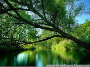 New 2013 Beautiful HD Desktop Wallpapers free Download . Nature HD Desktop . (beautiful wallpaper )