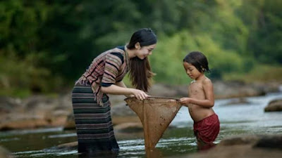 Fungsi Budaya