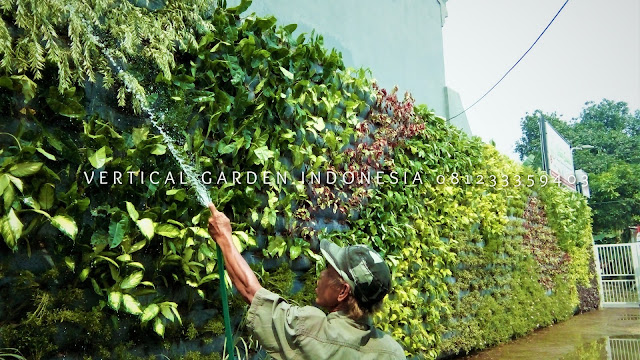 VERTICAL GARDEN INDONESIA SPESIALIS JASA PEMBUATAN VERTICAL GARDEN DI SALATIGA JAWA TENGAH DAN DI SELURUH WILAYAH JAWA TENGAH DENGAN TENAGA YANG PROFESIONAL DAN DAPAT DI PERCAYA YANG SELALU MENGUTAMAKAN SEBUAH MUTU DAN KUALITAS PEMASANGAN VERTICAL GARDEN/TAMAN DINDING, JASA TUKANG TAMAN VERTICAL SALATIGA JAWA TENGAH, JASA VERTICAL GARDEN SALATIGA JAWA TENGAH,