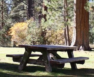  Picnic Moments in Fall