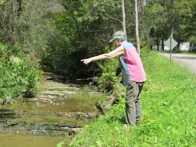 woman pointing at a stream