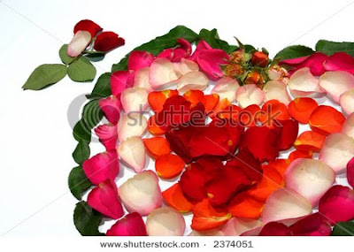 valentine heart shape rose petal greetings