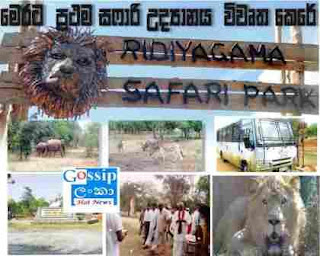 Safari Park Ridiyagama gossip lanka hot news