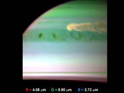 Updrafts of Large Ammonia Crystals in Saturn Storm