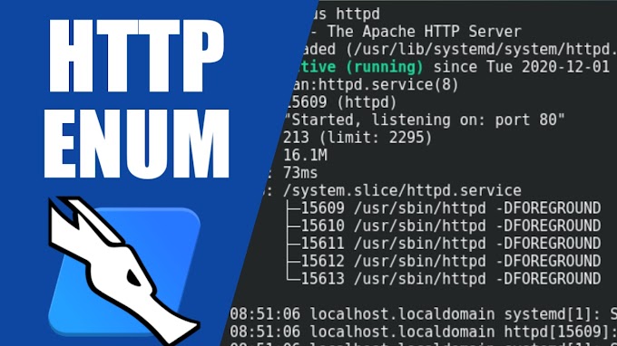 Enumerating HTTP and HTTPS Severs 