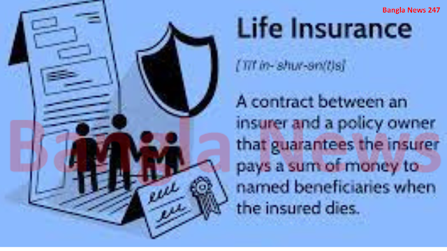 Detailed discussion about what is life insurance