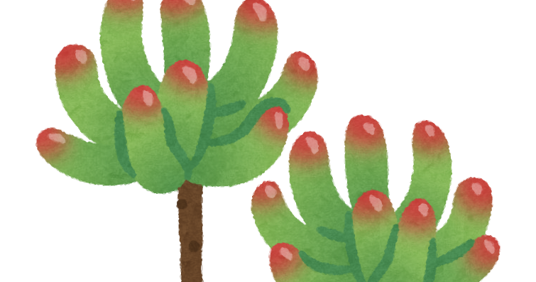 乙女心のイラスト 多肉植物 かわいいフリー素材集 いらすとや 乙女心のイラスト 多肉植物 かわいいフリー素材集 いらすとや