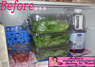 WTRFridge Before Foodsaver