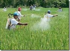 petani nyemprot