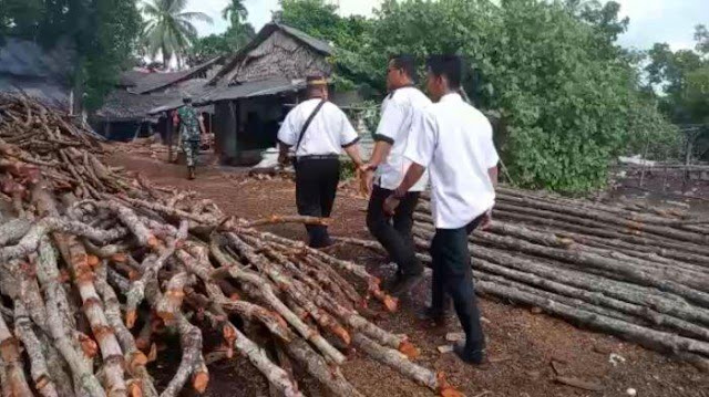 Ribuan Batang Mangrove di Lingga Dibabat, Pengusaha Dapur Arang Diduga Rusak Hutan Negara