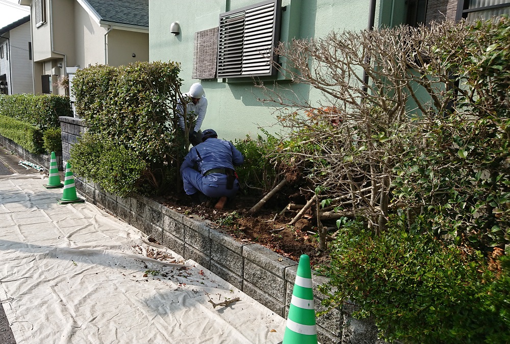 植木屋 庭師 剪定業 造園の藤翔とうしょう 人の女房と枯木の枝振り 生垣伐採 根掘り取り 料金 金額 費用 福津市 宗像市 宮若市 直方市 鞍手郡 北九州西部 遠賀郡 中間市