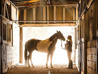 A Horse from Heaven 2018 Film Completo Streaming