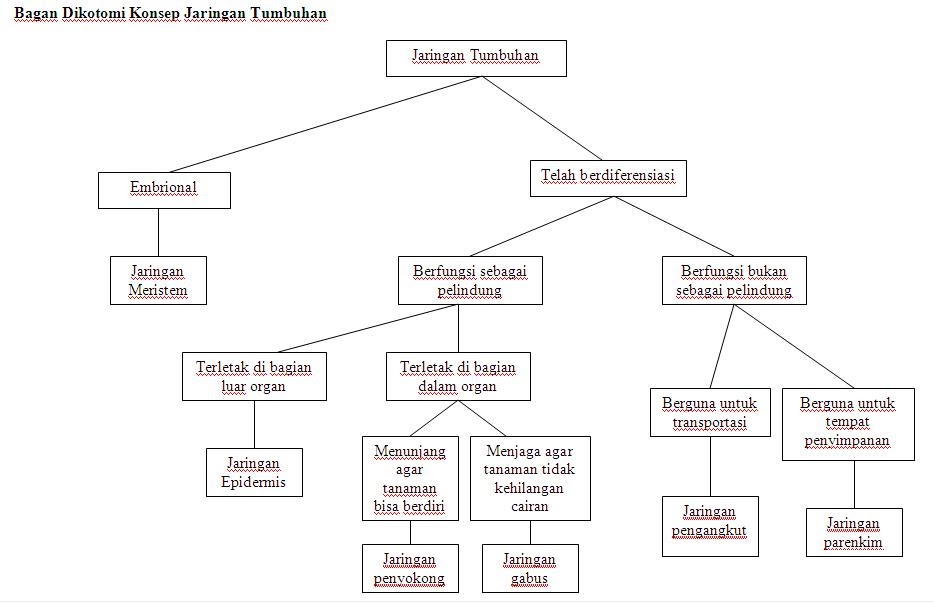 Tetes ilmu Peta Konsep dan BDK Jaringan  tumbuhan