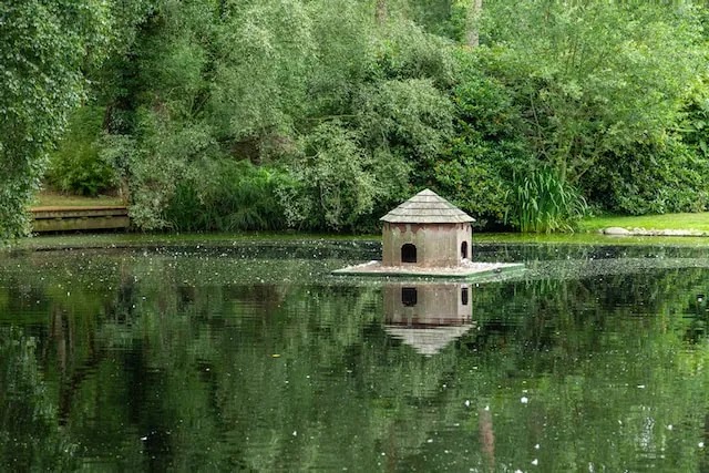 Dandys Ford Fishery