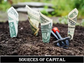 Different sources of raising a capital