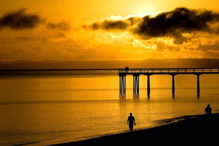 Gorgeous Golden Colour Beautiful Photos