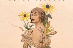 Neyla Pekarek – Rattlesnake [iTunes Plus M4A]