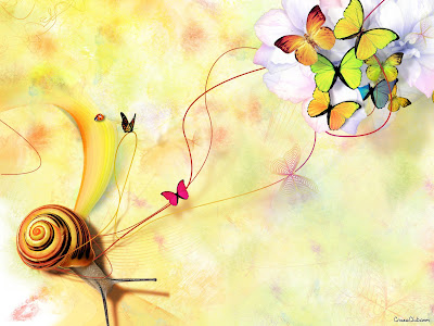 Butterfly Beautiful Wallpapers