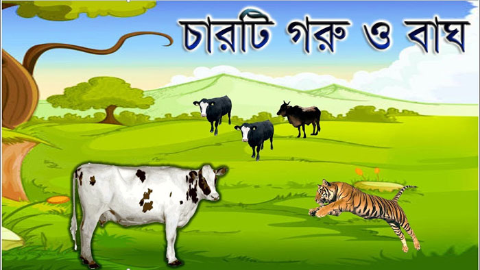 শিক্ষামূলক গল্প: চারটি গরু ও বাঘ