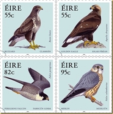 birds