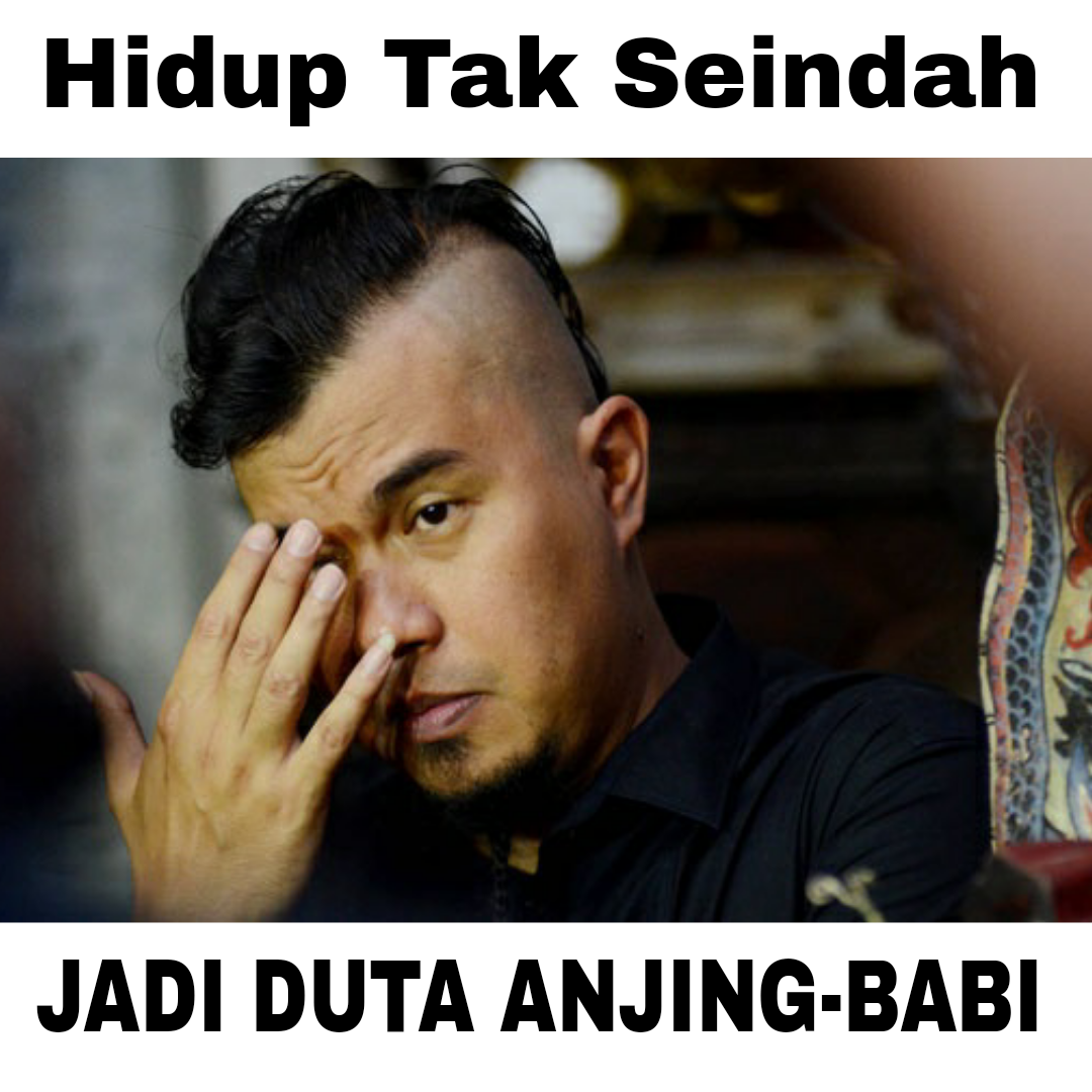 Gambar Meme Lucu Fortuner Keren Dan Terbaru DP BBM Lucu Kocak