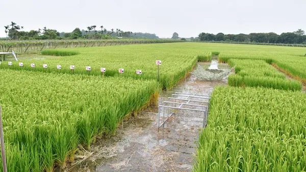 ▲二林鎮斗苑休閒農業區結合農業體驗及農村風情的風土人文資源，將運動元素融入休閒農業中，創造出高品質、高驚喜的新型動靜態休閒農業體驗活動。（圖／彰化縣政府提供 ）