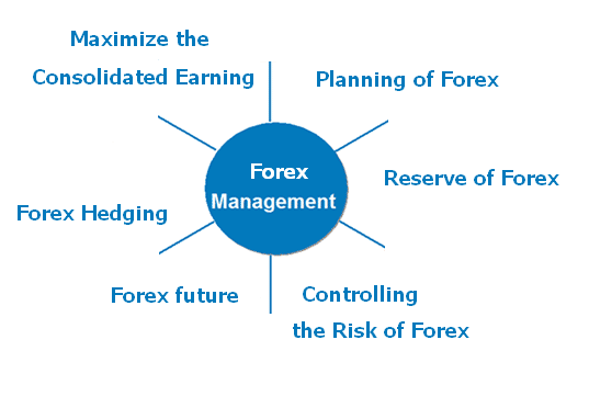 Forex Management 