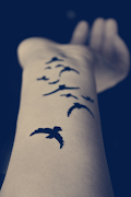 Bird Tattoos That Mean Freedom (tumblr pmc wtgn ru wqio )