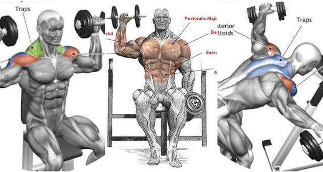 full shoulder workout shoulder workouts with dumbbells shoulder workout bodybuilding shoulder workout at home shoulder workouts without weights shoulder exercises for pain shoulder workout tips quick shoulder workout full shoulder workout shoulder workouts with dumbbells shoulder workout bodybuilding shoulder workout at home shoulder workouts without weights shoulder exercises for pain shoulder workout tips quick shoulder workout