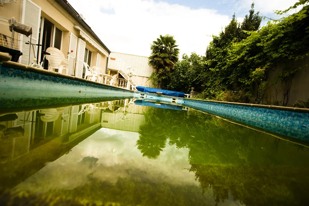 Dirty Swimming Pool Have an Algae Issue