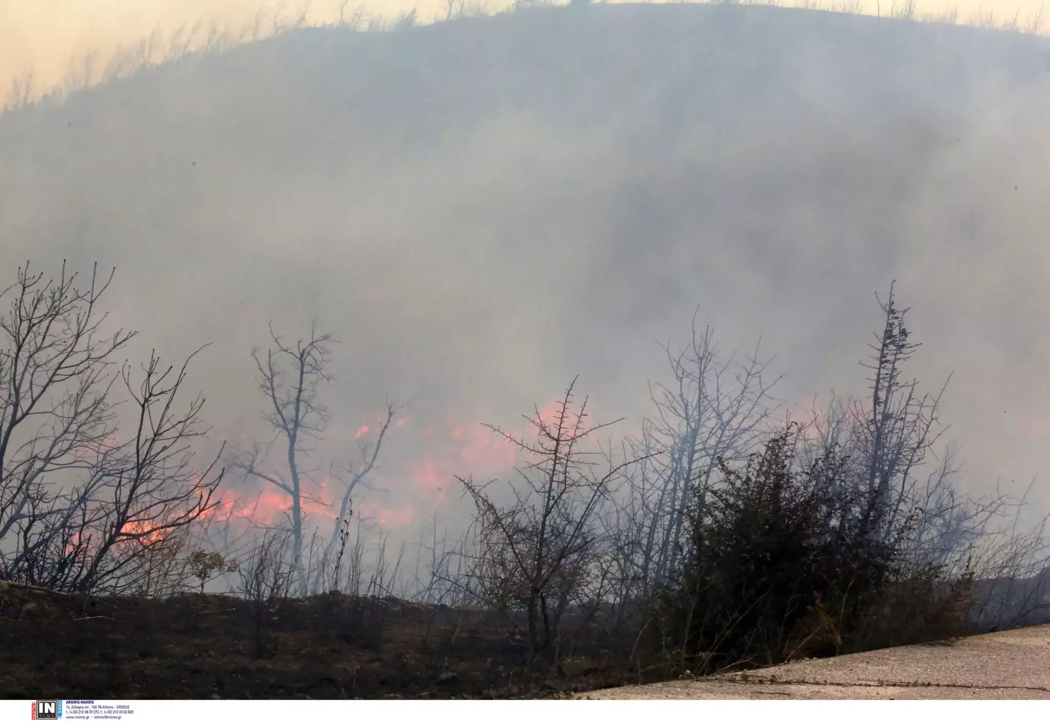 Φωτιά στον Έβρο: 10η μέρα μάχης με τις φλόγες – Μαίνεται το πύρινο μέτωπο και στην Ροδόπη