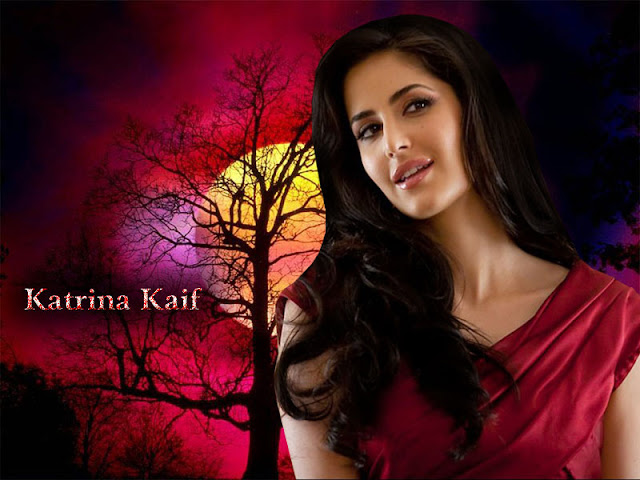 Beautiful Katrina Kaif Wallpaper