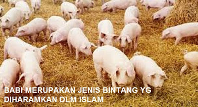 JENIS JENIS HEWAN  YANG HALAL DAN HARAM  DIMAKAN  SERTA 