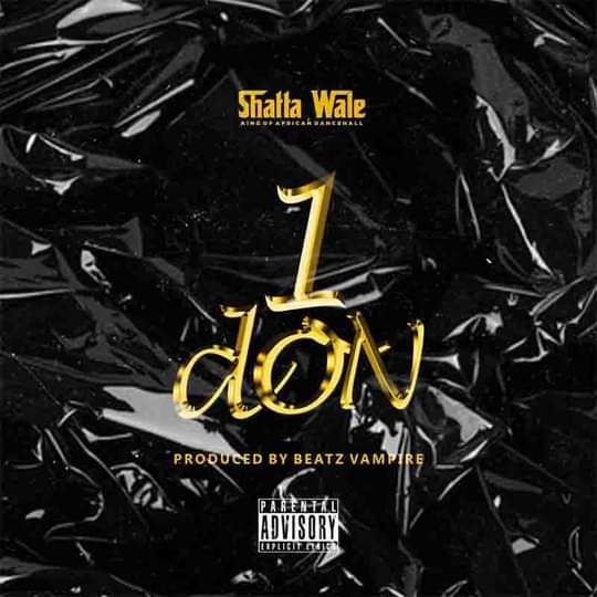 Shatta Wale~1DON prod by Beat Vampire 