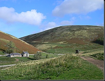 Cheviots Oct 2011 012