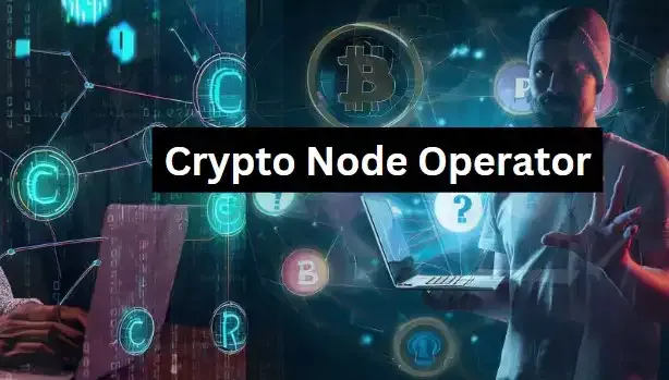 Crypto Node Operator