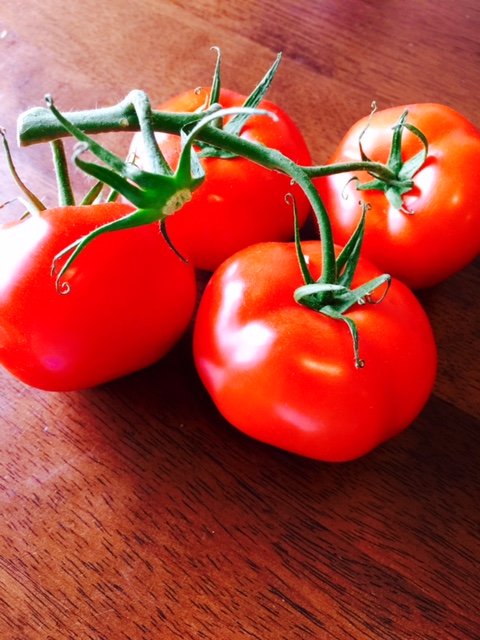 Tomatoes on the vine