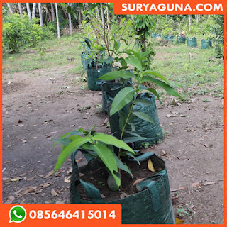 planter bag SURYAGUNA. kwalitas bagus 085646415014